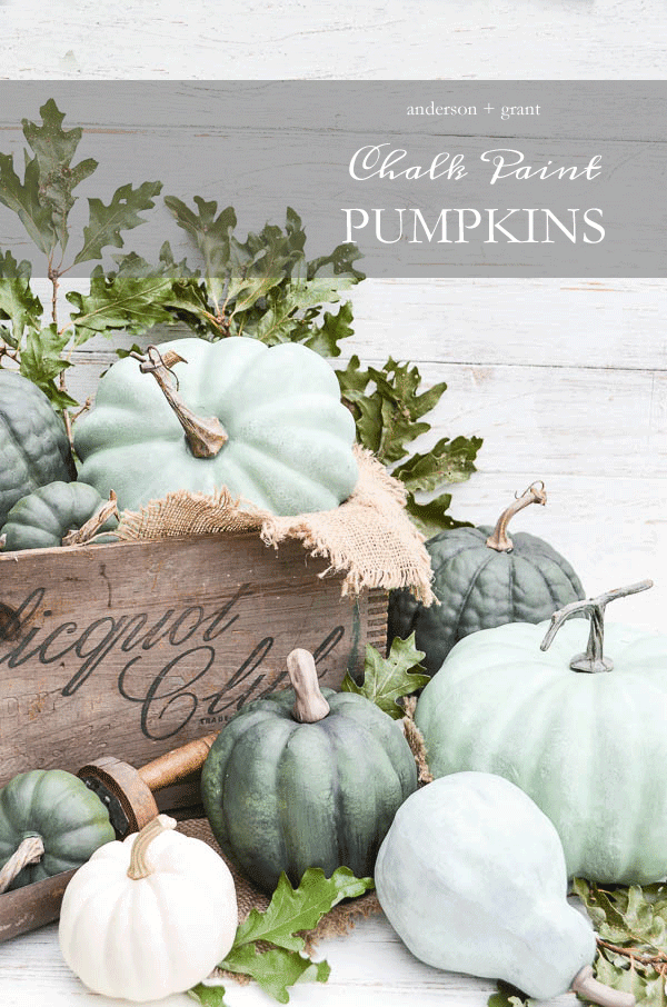 Chalk paint Pumpkin | No-Carve Pumpkin Decorating Ideas For This Halloween