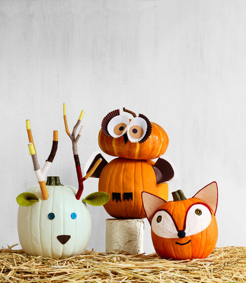 Deer, Fox, & Owl Pumpkins | No-Carve Pumpkin Decorating Ideas For This Halloween
