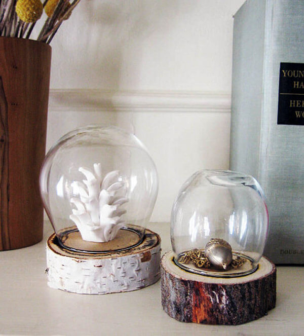 DIY Log Dome Display Jar | DIY Wood Tree Log Decor Ideas - FarmFoodFamily.com