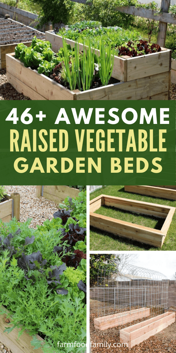 best raised vegetable garden bed ideas 3