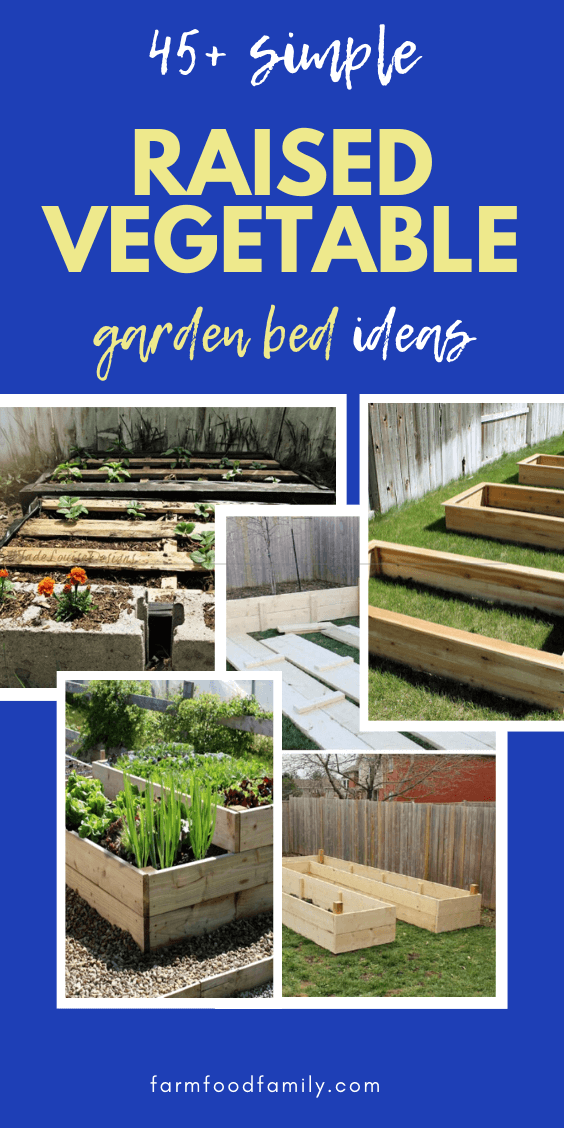best raised vegetable garden bed ideas 4