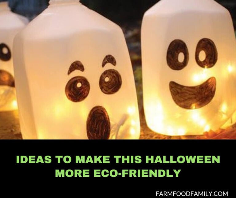 How to Have a Green Halloween: Ideas to Make This Halloween More Eco-Friendly