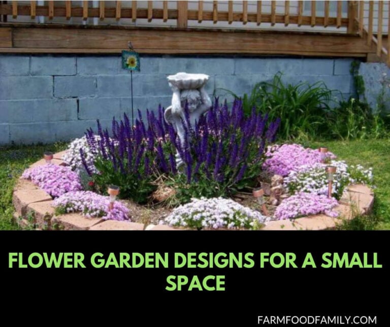 Flower garden designs for small spaces