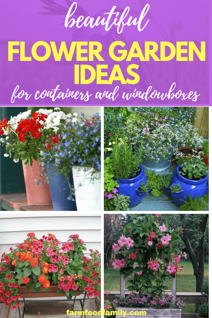 Flower Garden Ideas for Containers and Windowboxes