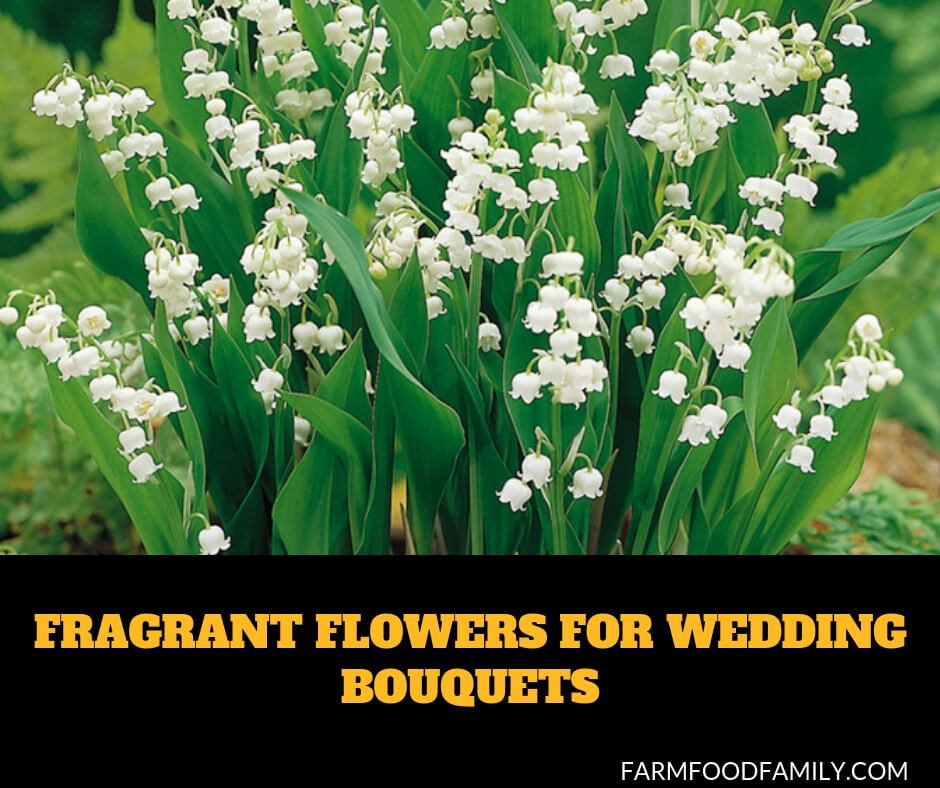 Fragrant Flowers For Wedding Bouquets