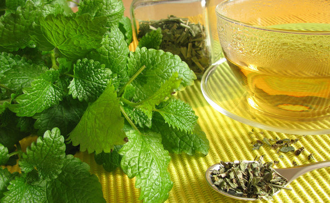 Lemon Balm Uses in Tea and Cooking