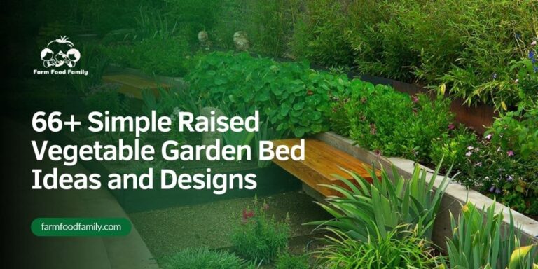 66+ Inexpensive Raised Garden Bed Ideas (and Mistakes Worth Avoiding)