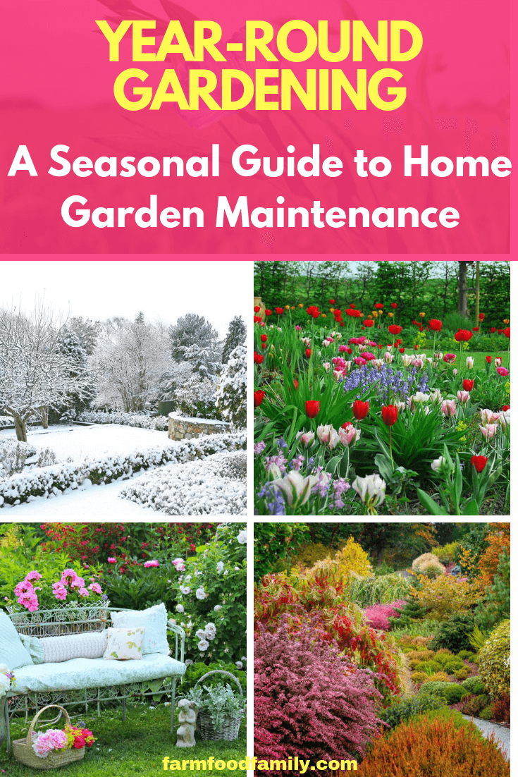Year-Round Gardening: A Seasonal Guide to Home Garden Maintenance