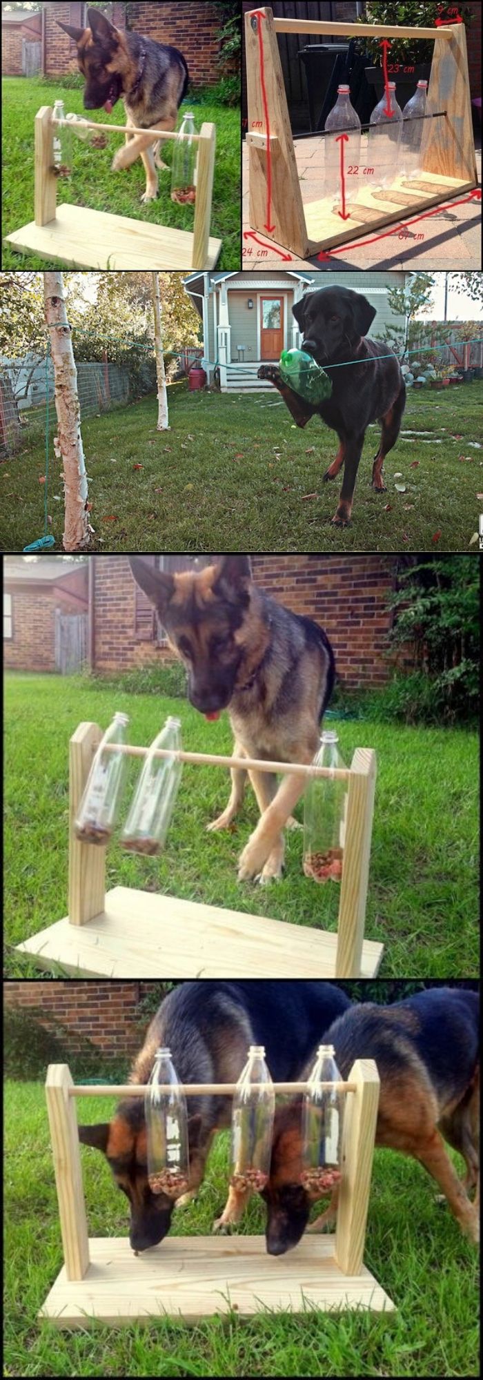 12 backyard projects for dogs