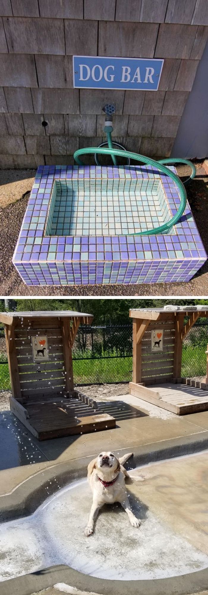 13 backyard projects for dogs