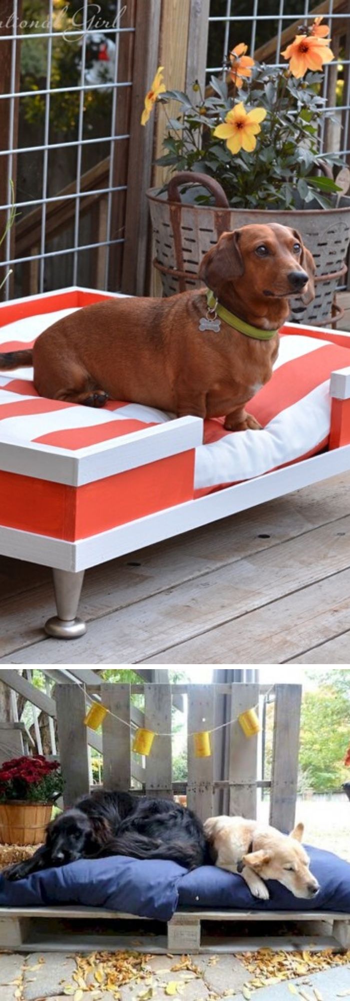 18 backyard projects for dogs