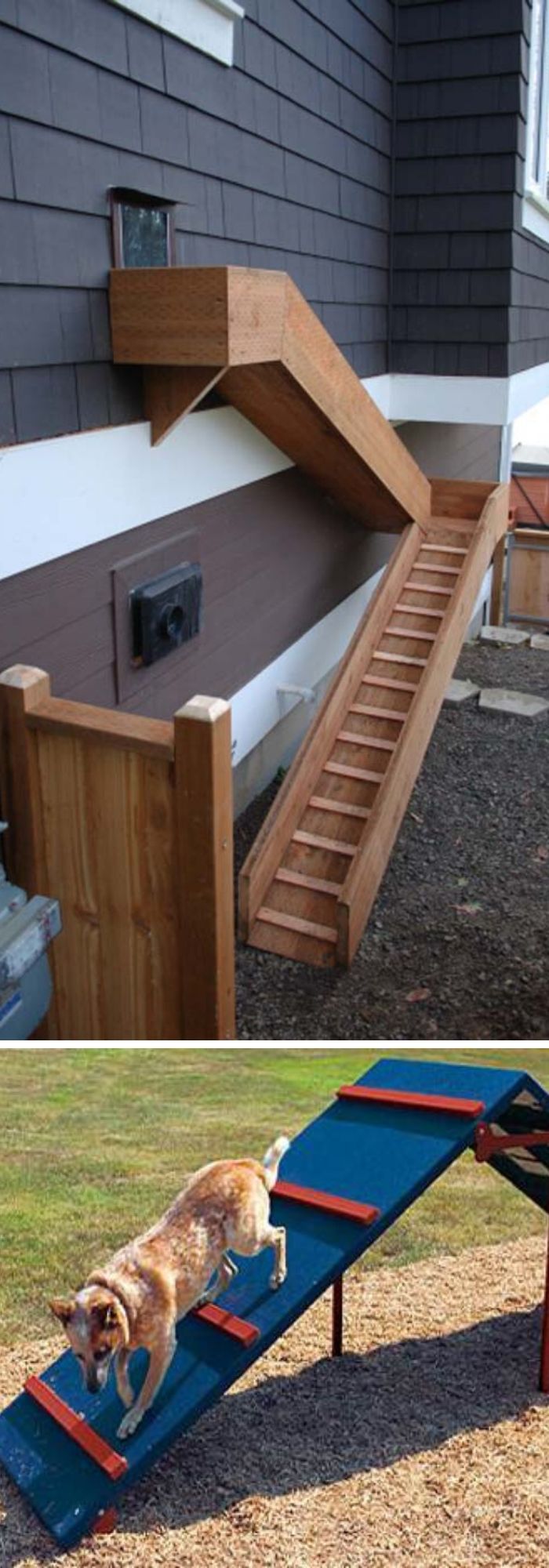 20 backyard projects for dogs
