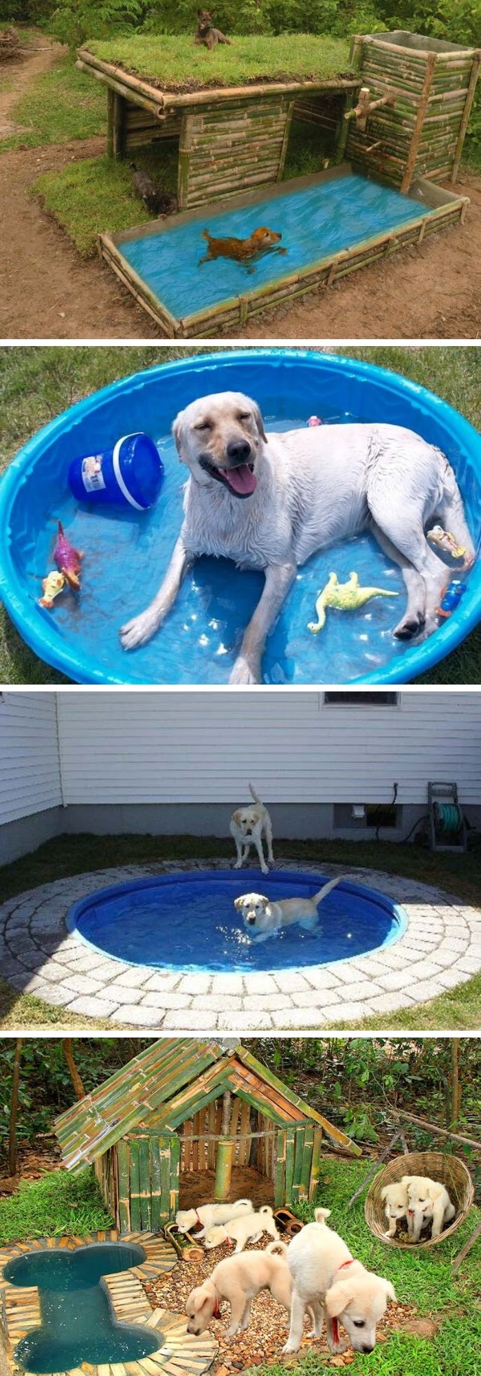 23 backyard projects for dogs