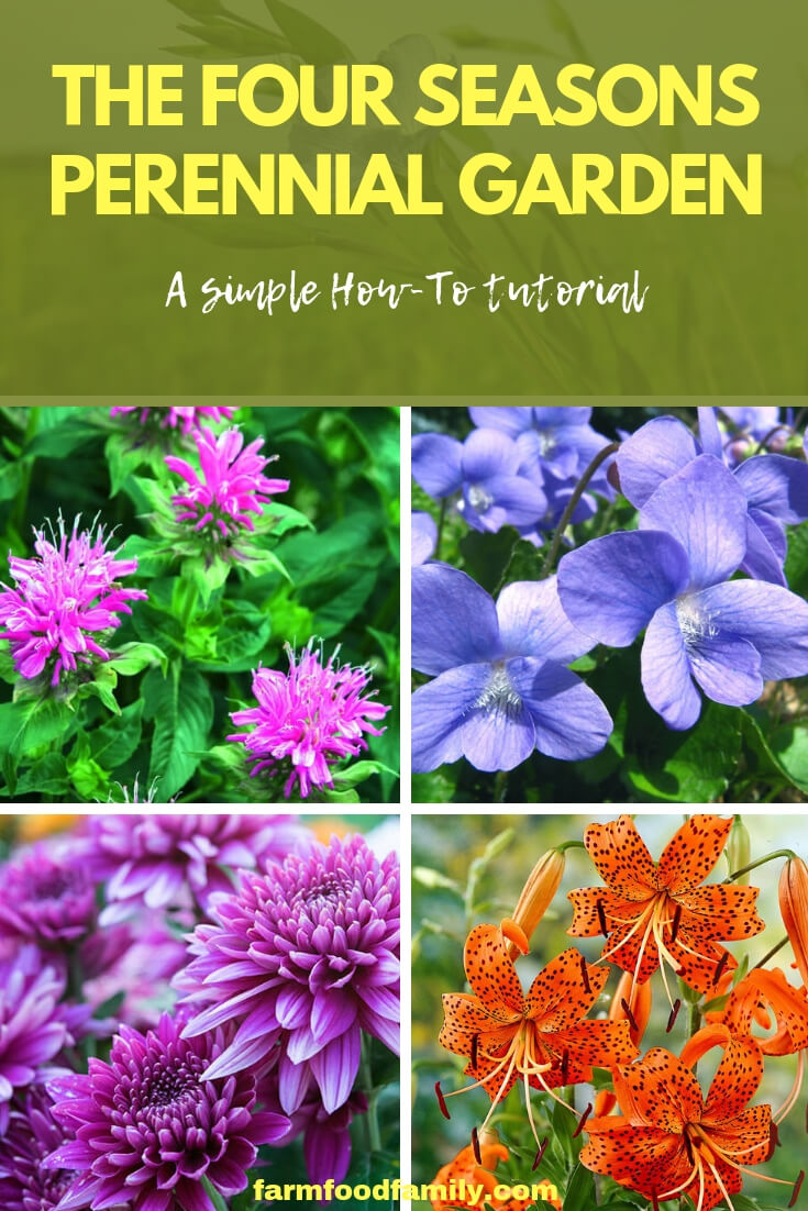 Four seasons perennial garden
