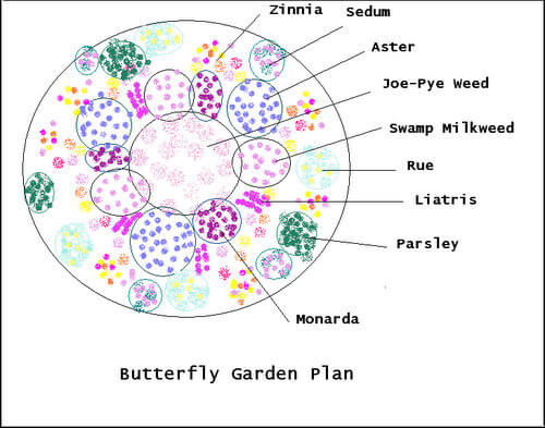Butterfly garden plan