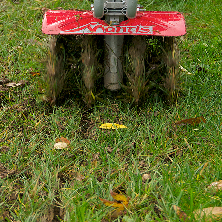 aerate the lawn
