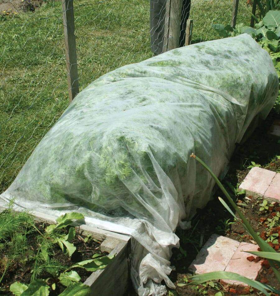 Lightweight floating row cover for insect protection