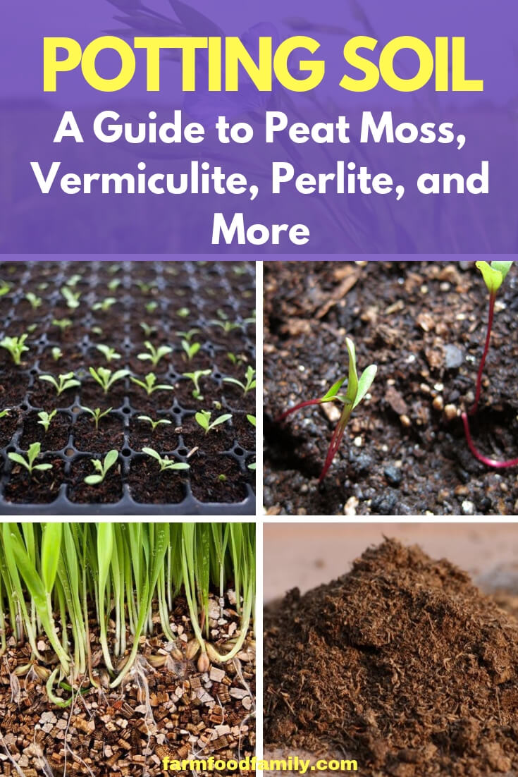 All About Potting Soil: A Guide to Peat Moss, Vermiculite, Perlite, and More