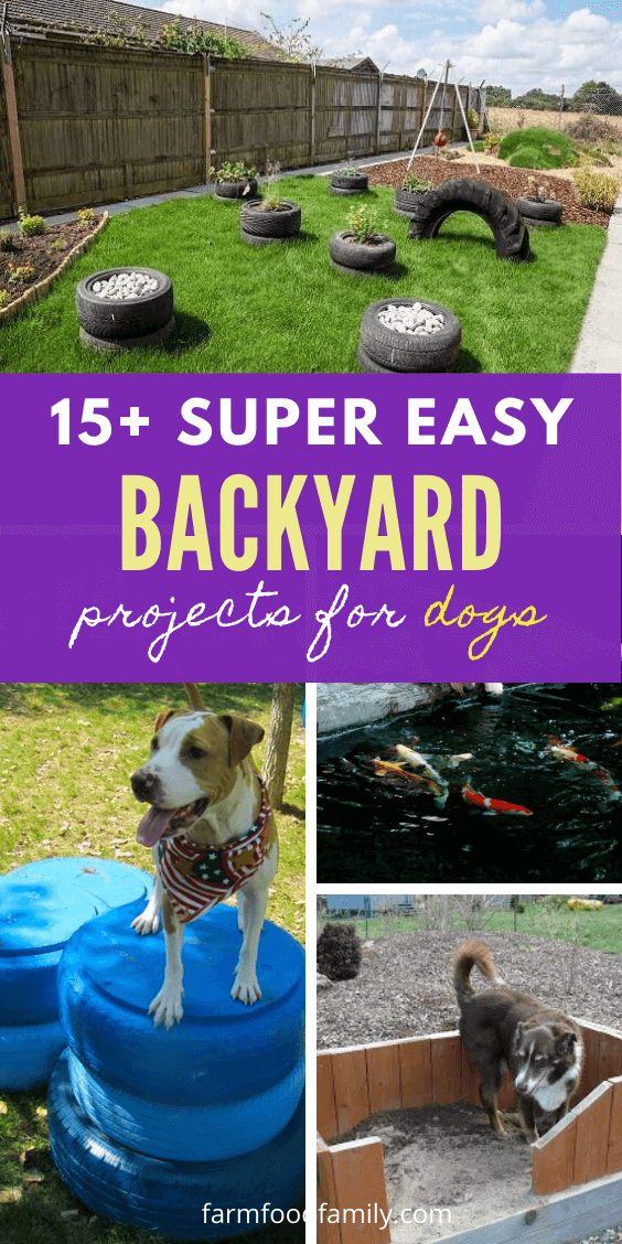 backyard ideas for dogs 4