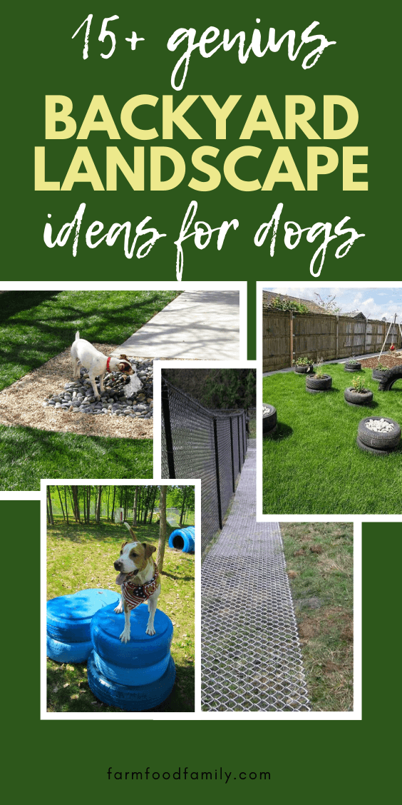 backyard ideas for dogs 5
