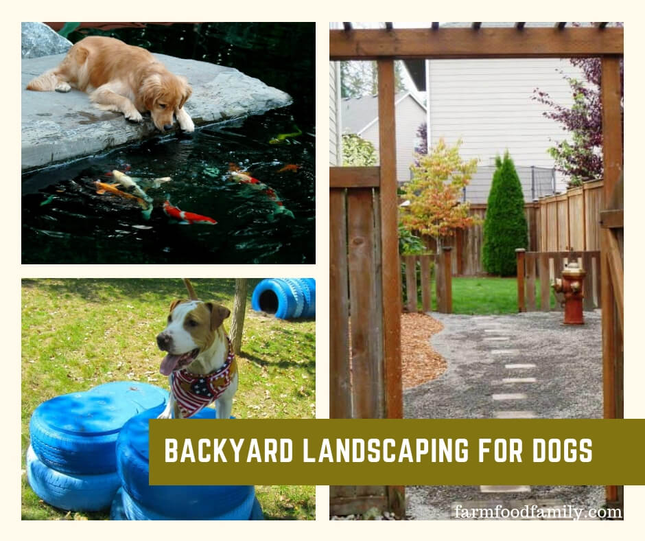 6 Great Dog-Friendly Landscaping Ideas - FarmFoodFamily