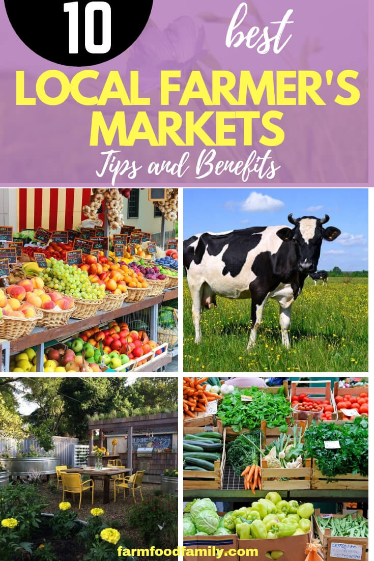 Local Farmer's Markets Tips And Benefits