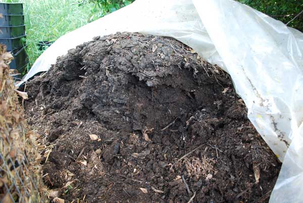 Compost Pile is Wet