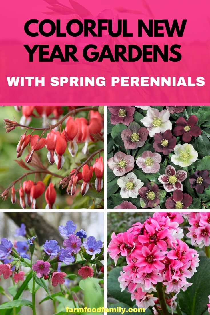 Favorite Spring Blooming Perennials for Abundant Garden Flowers