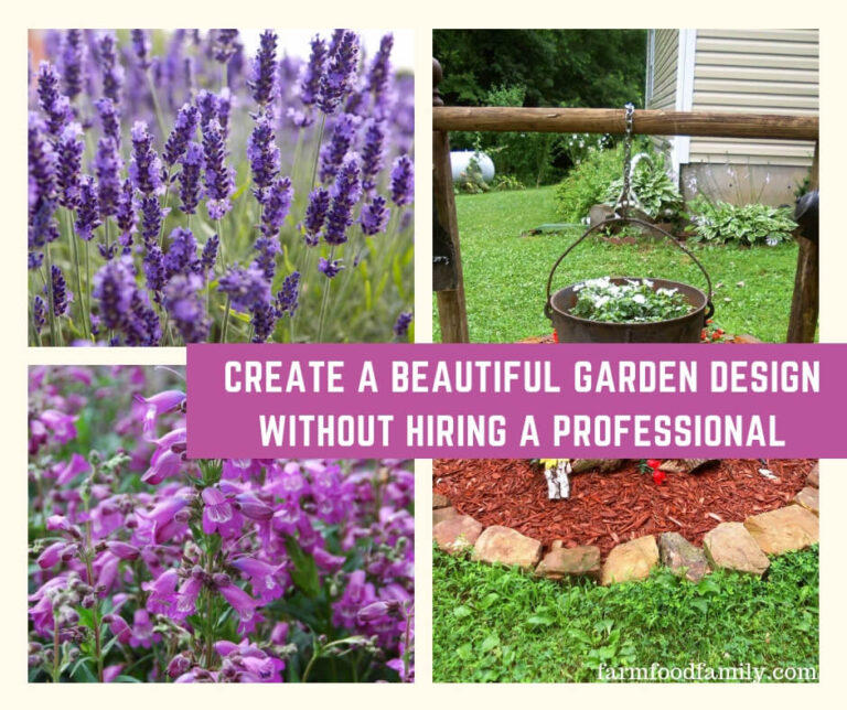 Create a Beautiful Garden Design Without Hiring a Professional