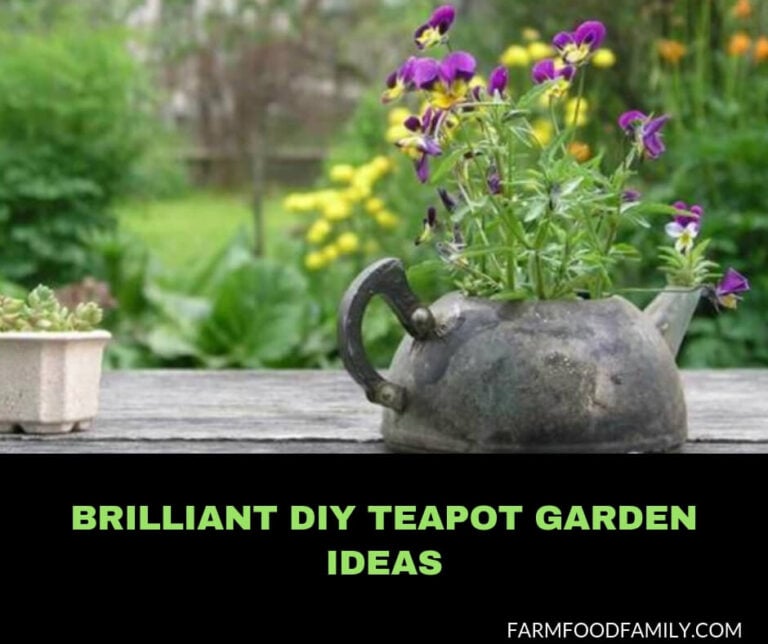 DIY teapot garden ideas