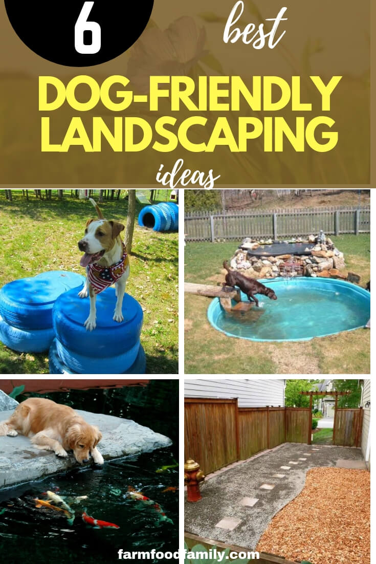 Landscaping Ideas for dogs