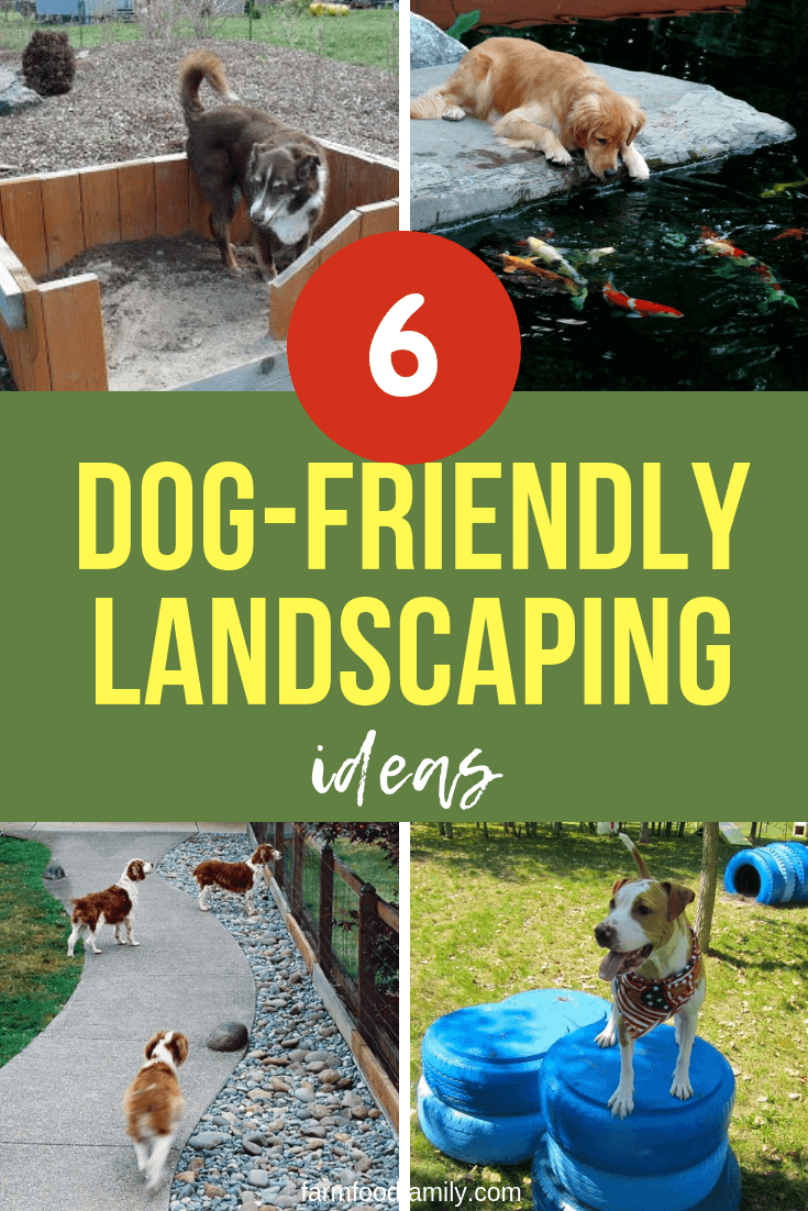 dog friendly landscaping ideas