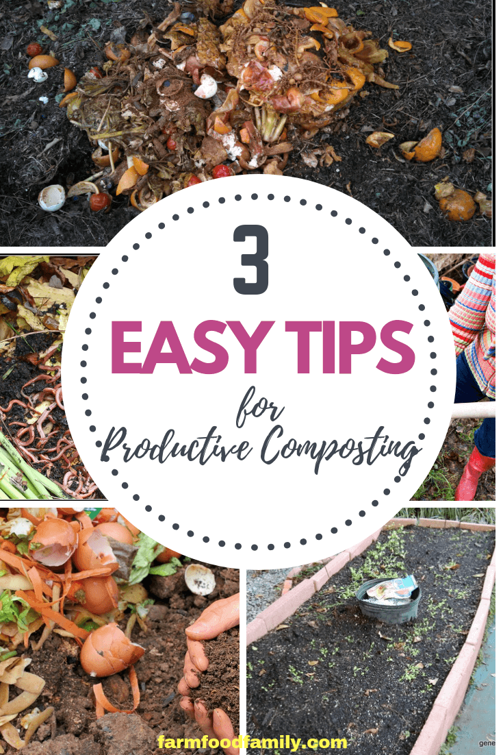 How to Maintain a Healthy Compost Pile and Accelerate Decomposition