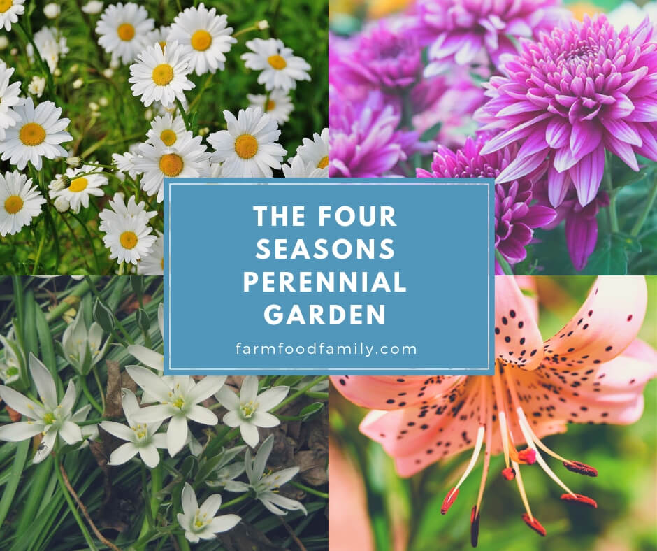 A simple How-To tutorial on creating a beautiful perennial garden that is gorgeous in every season!
