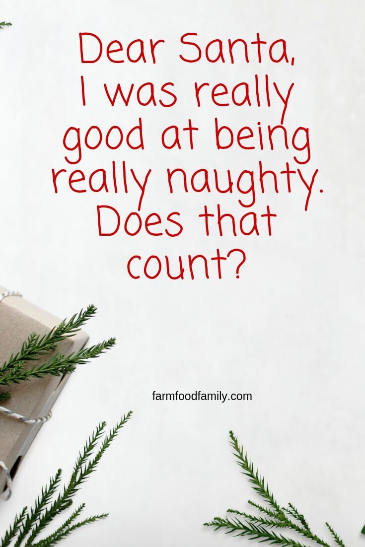 funny christmas quotes 4