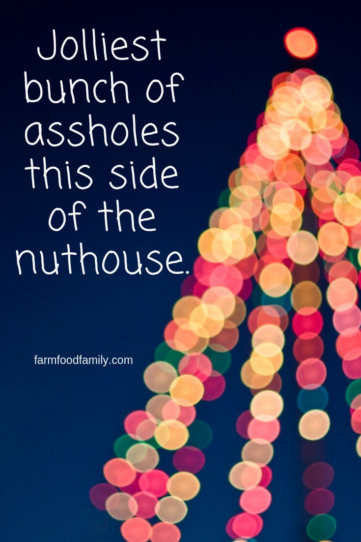funny christmas quotes 6