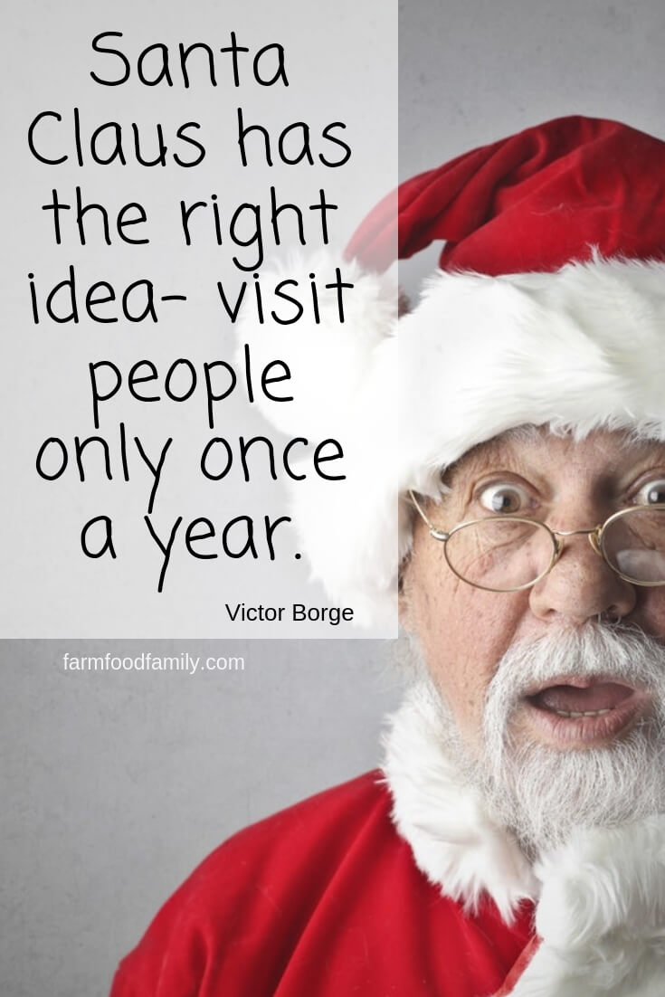 funny christmas quotes 7