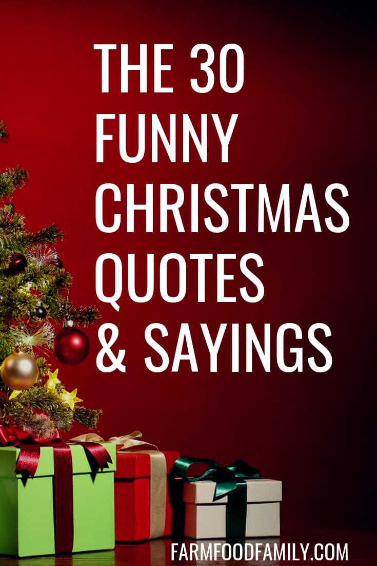 30+ Funny Christmas Quotes & Sayings That Make You Laugh