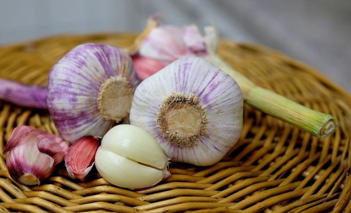 Ward off pests with garlic