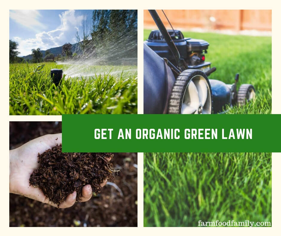 Get an Organic Green Lawn