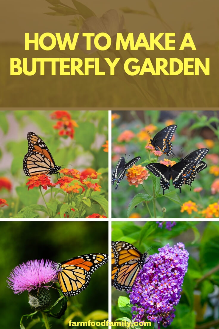How to create a Butterfly Garden