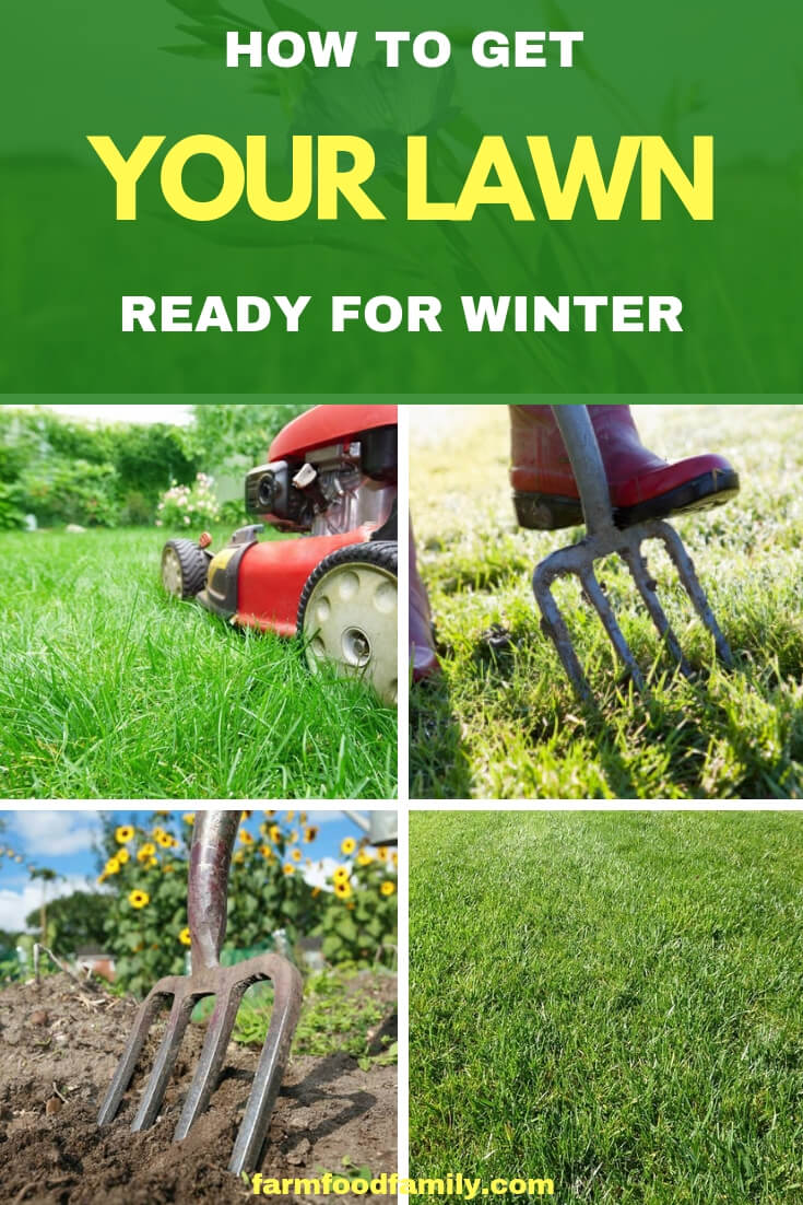 How to get your lawn ready for winter