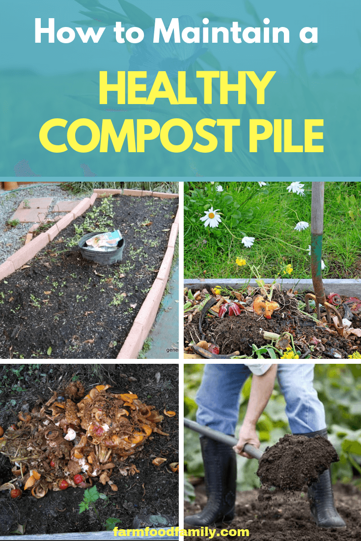 How to Maintain a Healthy Compost Pile and Accelerate Decomposition