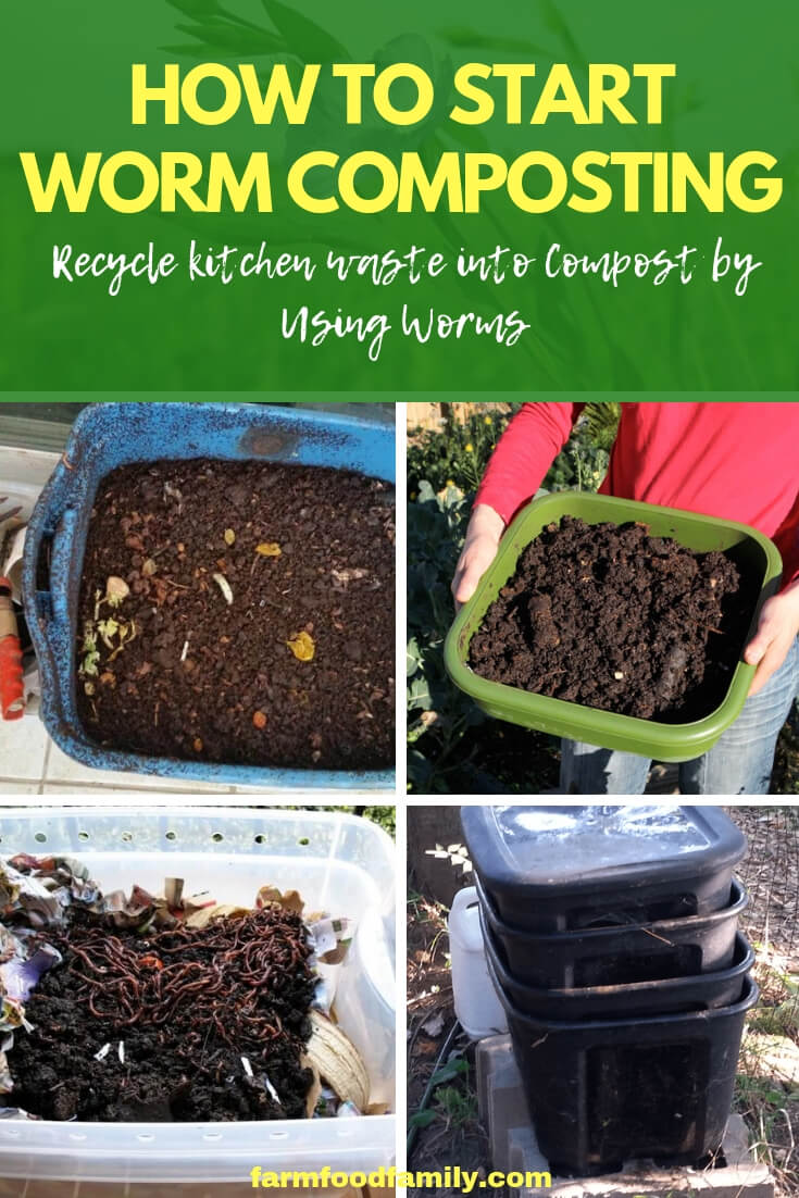 How to start worm composting