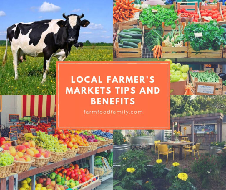 Local Farmer's Markets Tips And Benefits