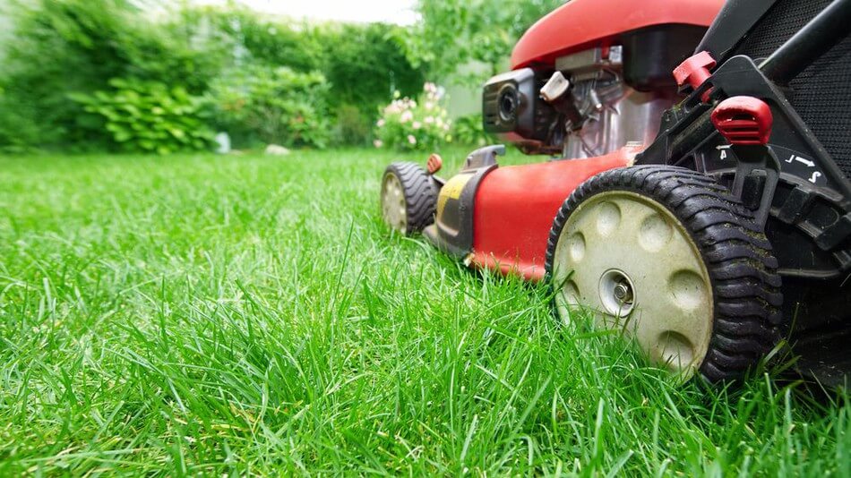 Mow the lawn