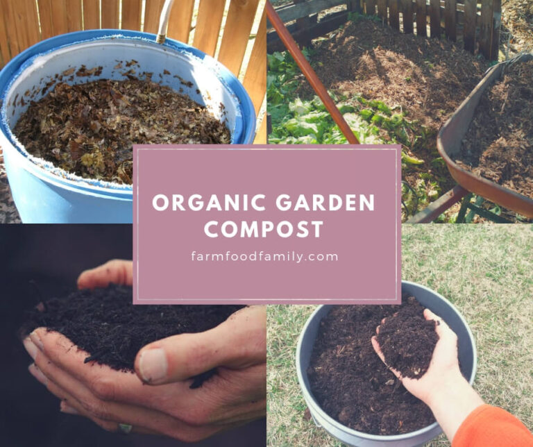 Organic garden compost
