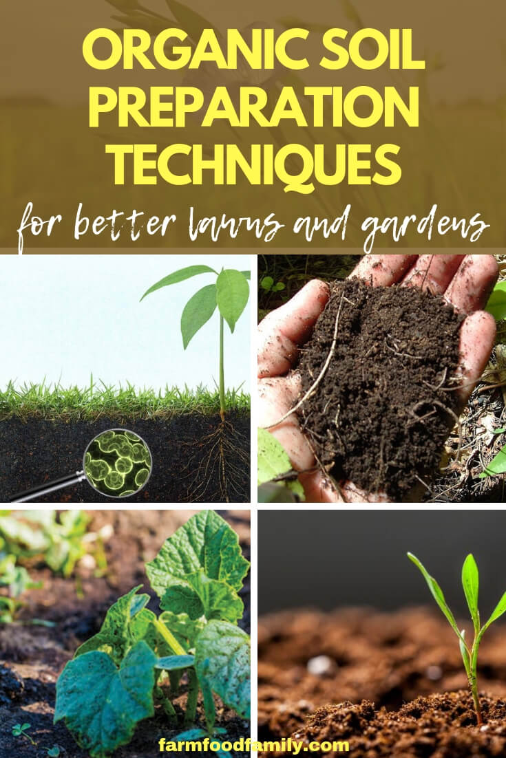 Organic Soil Preparation Techniques for Better Lawns and Gardens
