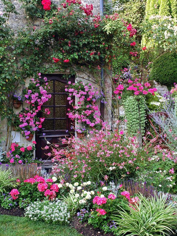 The Pink Garden