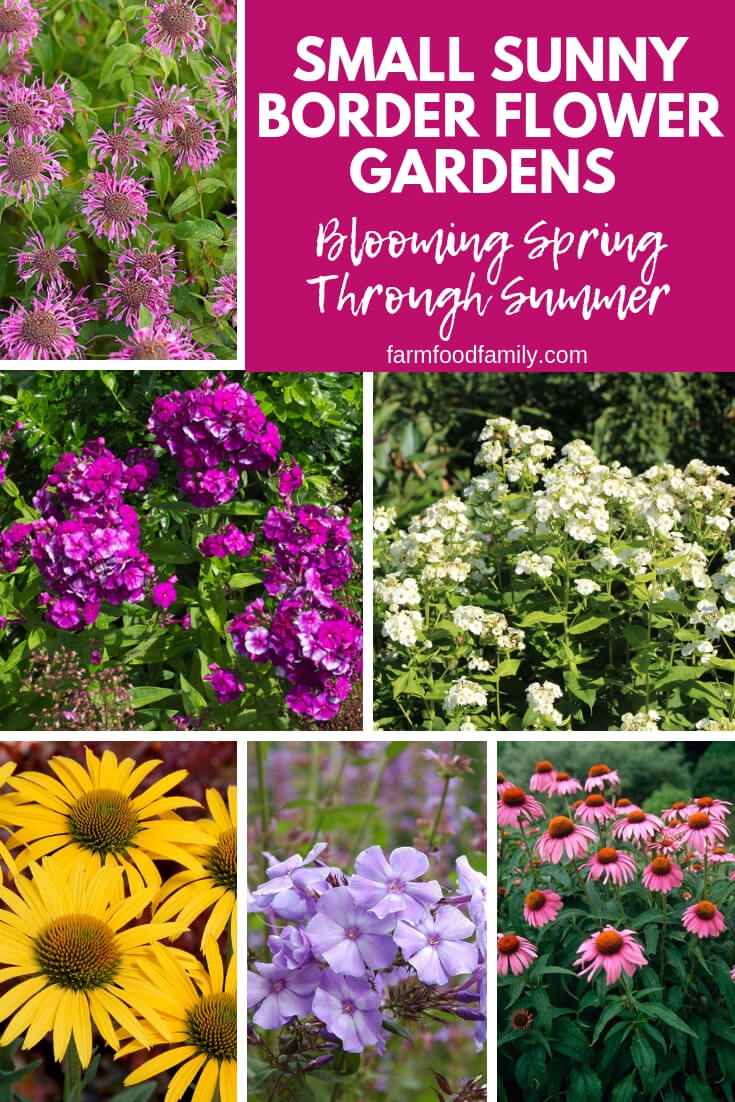 Small Sunny Border Flower Gardens Blooming Spring Through Summer